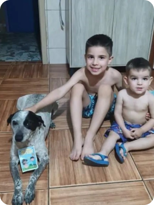 Segunda imagem de adoção